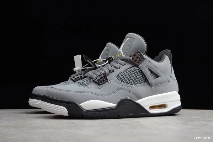 Cool Grey 308497-007 Jordan Retro (2019) Air 4 0711